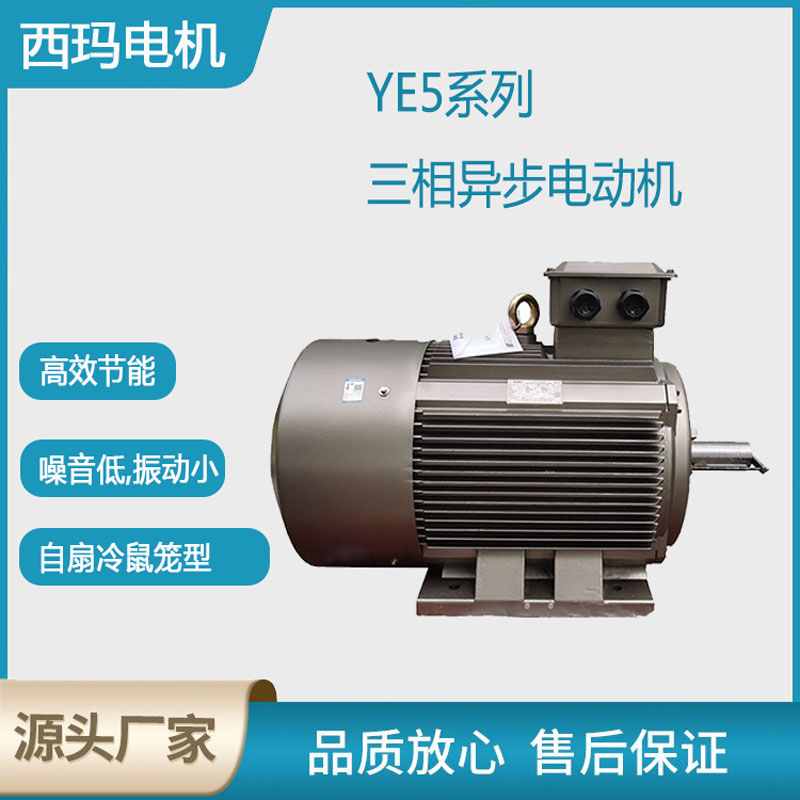 YE5系列超高效低壓三相異步電動機(jī)-主圖設(shè)計(jì).jpg